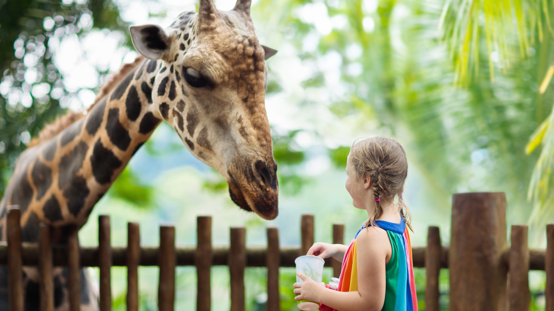 Zoo Punta Verde di Lignano: escursione a pochi passi da Porto