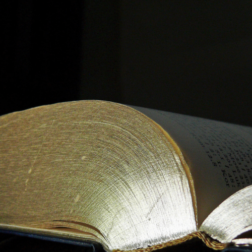 Le Leggende Di Fossalta