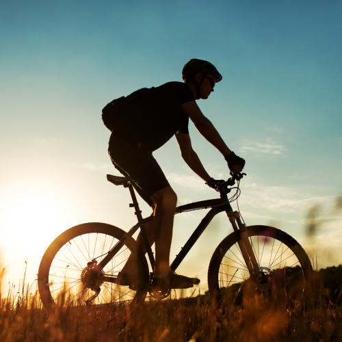 Pedala In Libertà Con Un Itinerario Su Misura