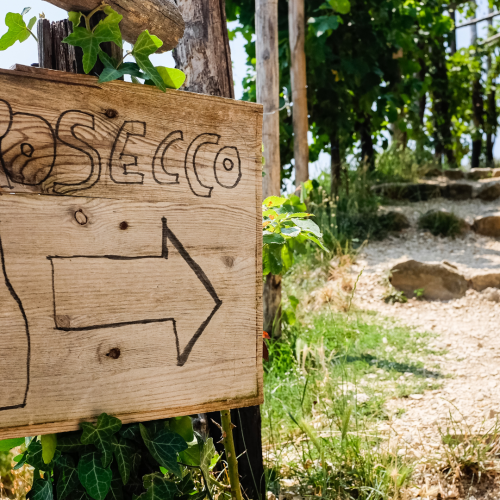 Alla Scoperta Dello Spumante Veneto