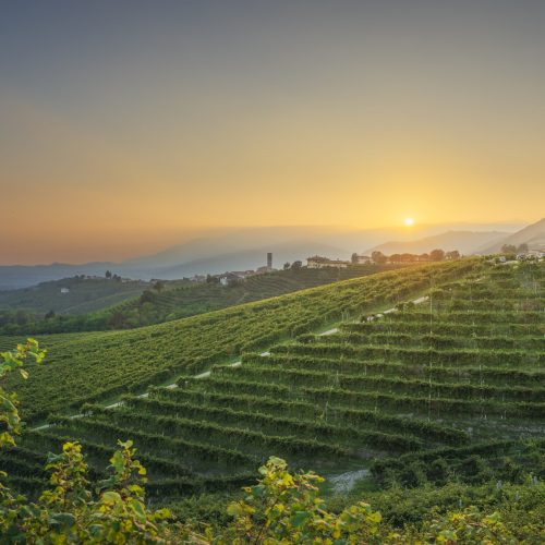 Prosecco Hills, vineyards and San Pietro di Barbozza village at sunset. Unesco Site. Valdobbiadene, Treviso, Veneto, Italy, Europe.