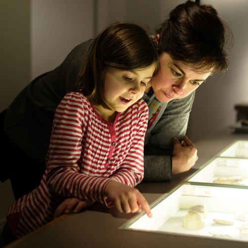 A woman and child looking at objects in a display